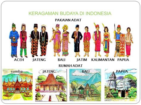 Keberagaman Suku Bangsa Dan Budaya Indonesia Lesslasopa