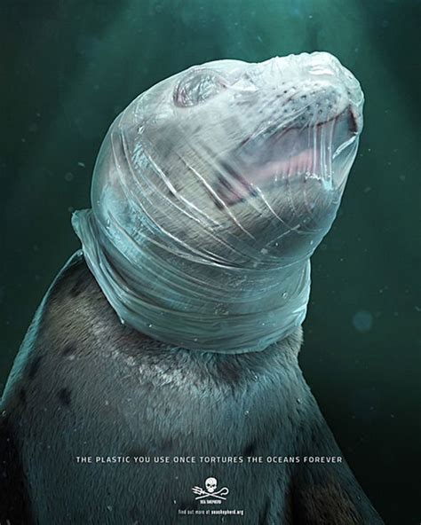 Plastic Horror Horrific Pictures Show Crisis In Marine Pollution