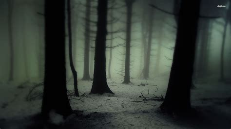 16481 Dark And Foggy Forest 1920x1080 Nature Wallpaper 1920×1080