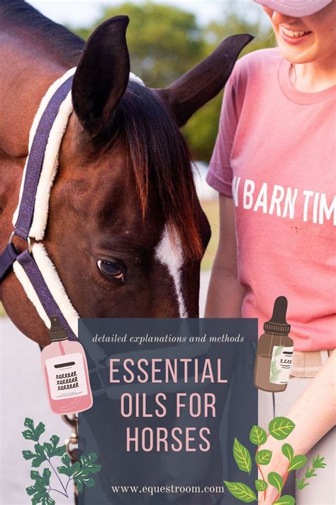 Calming Essential Oils Are Essential Oils Safe Essential Oil Uses