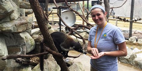 Zoo And Wildlife Career Faqs Smithsonians National Zoo And