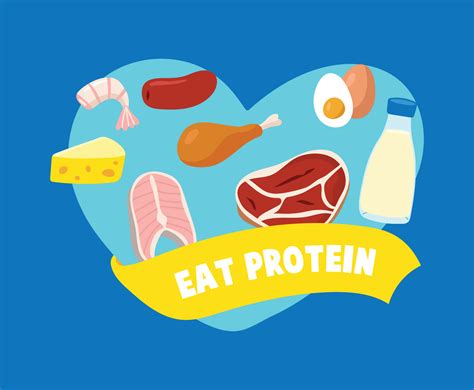 Protein Set Design Vector Art And Graphics