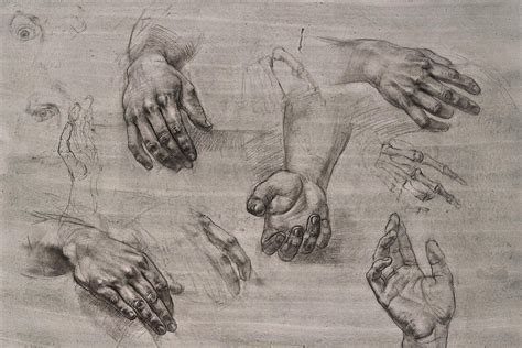 Artistic anatomy | Classical art, Art academy, Anatomy for artists