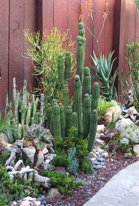 Fabulous Cactus Garden Landscape Idea For Side Home Garden