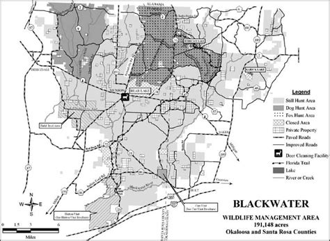 Blackwater Wildlife Management Area