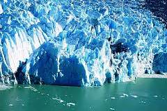 There are several companies that provide this tour. O'Higgins Glacier