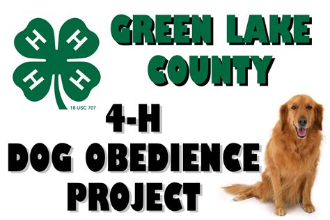 4 H Dog Project Extension Green Lake County
