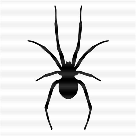 Spiders Clipart Simple 78 With Images Spider Drawing Black Widow