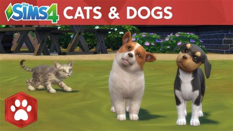 The Sims 4 Cats And Dogs Dlc Now Available To Leave Fur On Pcs Worldwide