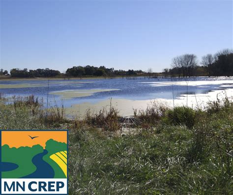 Choose Crep For Seasonally Flooded Wetland Restorations Rice Soil And