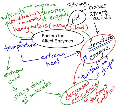 Basically, there are two kinds of things that you could think of when you're talking about stickiness. Cell Metabolism - Mel Burgess at CALC