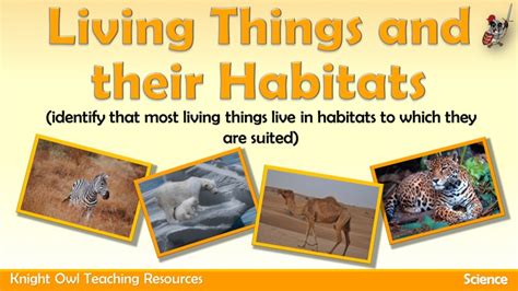 Living Things And Their Habitats