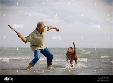 Man Throwing Stick To Dog Hi Res Stock Photography And Images Alamy