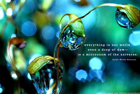 Belligerent raindrop quotes that are about dewdrop. Water Quotes Images (87 Quotes) : Page 9 ← QuotesPictures.com