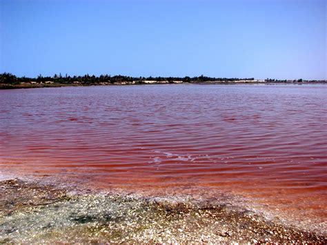 Lac Rose Senegal Amazing Worlds Wonders