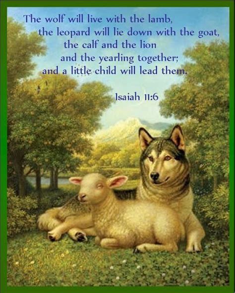 Mditm Isaiah 116 ~ The Wolf Will Live With The Lamb Isaiah 11 Book