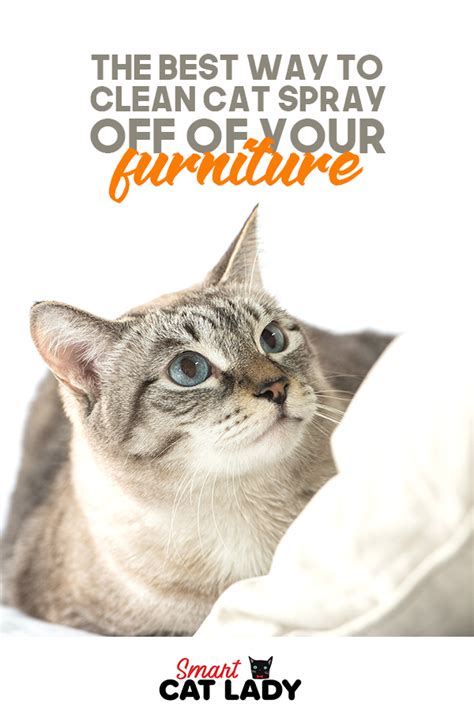 Sprays are available in the market that comes with repelling smells that the cats don't like. The Best Way To Clean Cat Spray Off Of Your Furniture