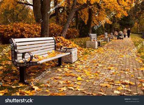 Perspective Row Benches Autumn Park While Stock Photo 116482417