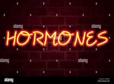 Hormones Neon Sign On Brick Wall Background Fluorescent Neon Tube Sign On Brickwork Business