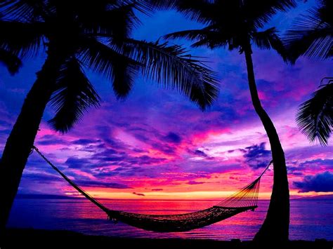 Fiji Hammock Sunset Paint Sky Sunsets Wallpapers