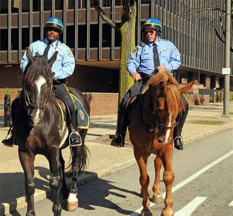Flickriver Photoset Philadelphia Police Mounted Unit By Phillycop