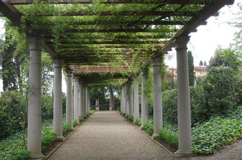 We did not find results for: Come scegliere le piante per il pergolato - Idee Utili Per ...