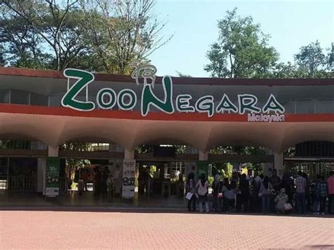There are so many things to enjoy at the singapore zoo, so bring your entire family for a great day out during your next visit to singapore. Entrance - Picture of Zoo Negara, Ampang - TripAdvisor