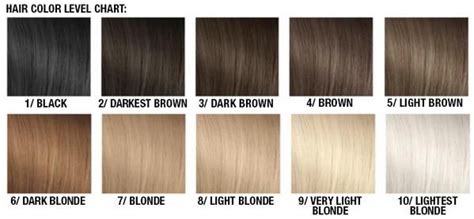 Meet the new level 10 shades. level 10 blonde - Google Search | Levels of hair color ...