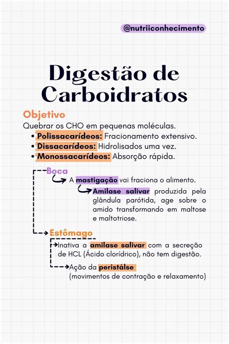 Resumo De Nutri O Digest O De Carboidratos Carboidratos Rotina De Estudos Mapa Mental