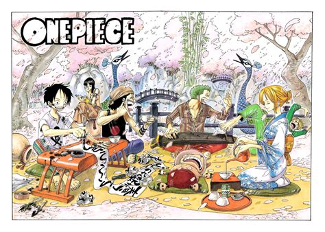 Chapter 269 One Piece Wiki Fandom Powered By Wikia