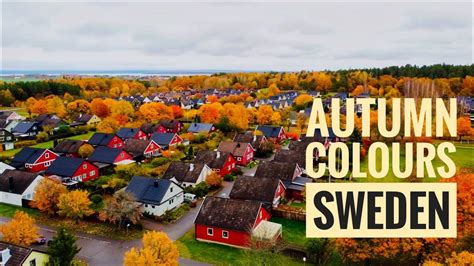 Fall Colours In Sweden Autumn Foliage With Calm Music Sweden Youtube