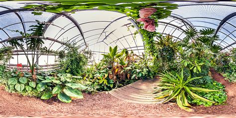 Check spelling or type a new query. Botanischer Garten Mainz - Gewächshaus Unterwuchs ...