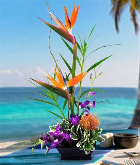 Bird Of Paradise Flowers Pinterest Paradise Bird Tropical Flower Arrangements