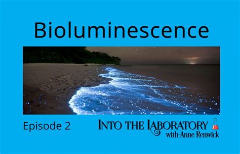 Bioluminescence Into The Laboratory