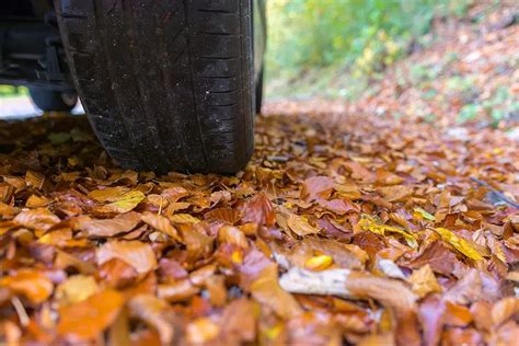 Preparing Your Car For Fall Rain And Leaves Hollenshades Auto Repair