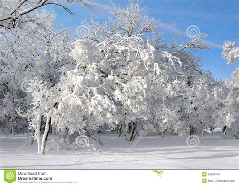 Winter Scenery Royalty Free Stock Images Image 34291249