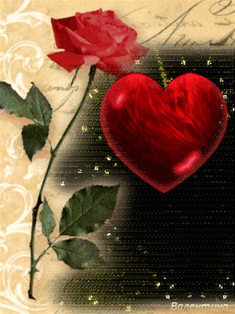 Beautiful Heart Rose  Heart Animation Rose S Beautiful Heart