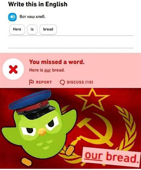 Angry Duolingo Noises Really Funny Memes Funny Relatable Memes