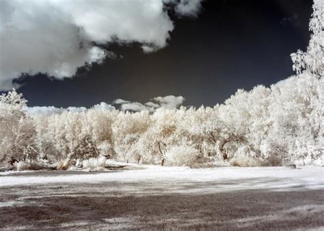 Surreal Landscape Lake With Sky Reflections Infrared Photo Snowy Tree