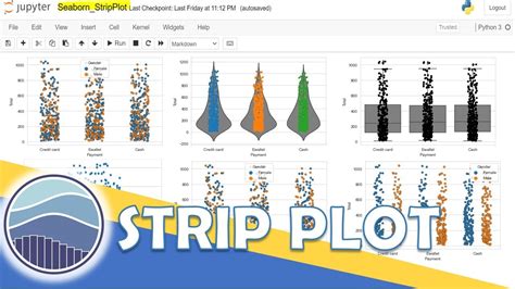 Python Seaborn All About Strip Plot Using Seaborn In Python How To Create A Strip Plot In