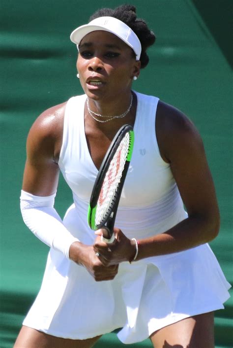 Stephens to meet ostapenko in miami open final. Venus Williams - Wikipedia