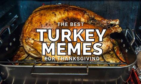 funny turkey memes for thanksgiving 2020 turkey funny turkey memes funny thanksgiving memes