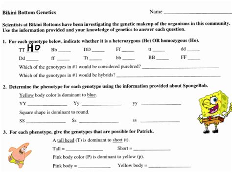 Maybe you would like to learn more about one of these? Punnett Square Practice #3 Spongebob Squarepants : Pin on ...