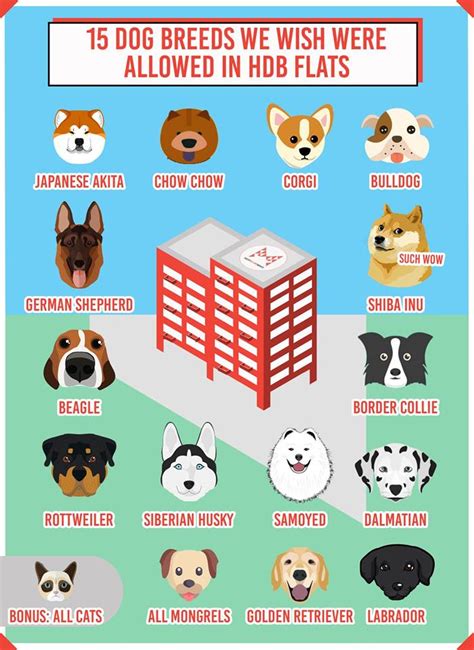 Types Of Pets Allowed In Hdb Dog Breeds Chart Dog Bre