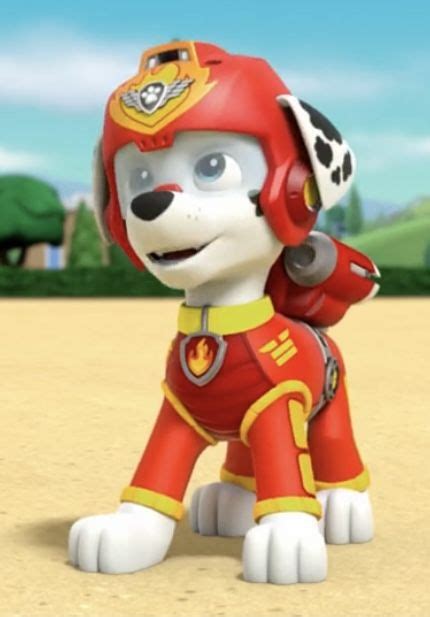 Pin By Sameer Bhatti On Paw Patrol Marshall Paw Patrol Paw Patrol Paw