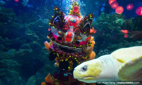 Ikan hiu, piranha, dinosaurus, kucing garong, keong racun… bu guru: Pabila sang singa tari bersama si ikan