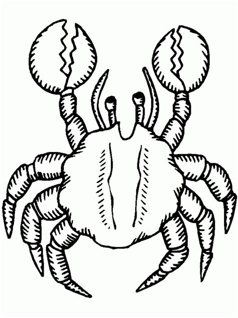 They can play games in the nursery like numbers match games and alphabet puzzles and crab coloring pages. Free Printable Crab Coloring Pages For Kids