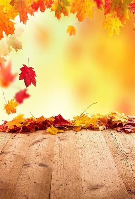 Autumn Yellow Maple Leaf Backdrops For Photography S 3136 Ahornblatt