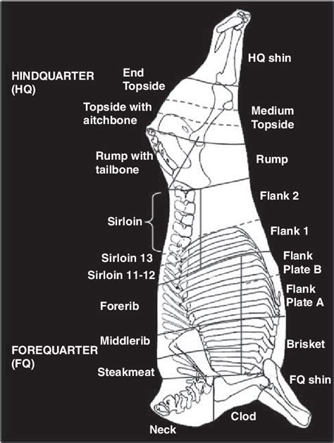 Diagram Of Cuts Of Beef