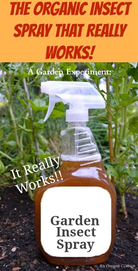 Homemade Natural Insect Repellent For Vegetable Garden 5 Homemade Bug